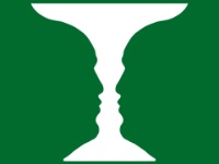 Illusion 4