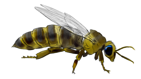 Königin