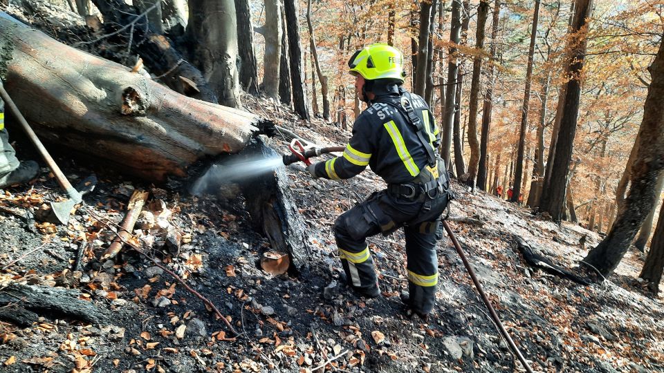 Feuerwehrmann löscht einen verkohlten Baumstamm.