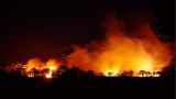 Waldbrand