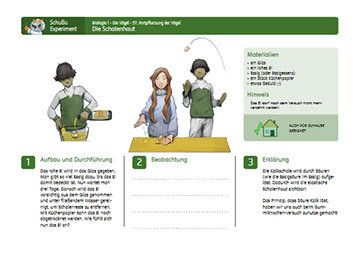 Klicken um PDF anzuzeigen Experiment Biologie